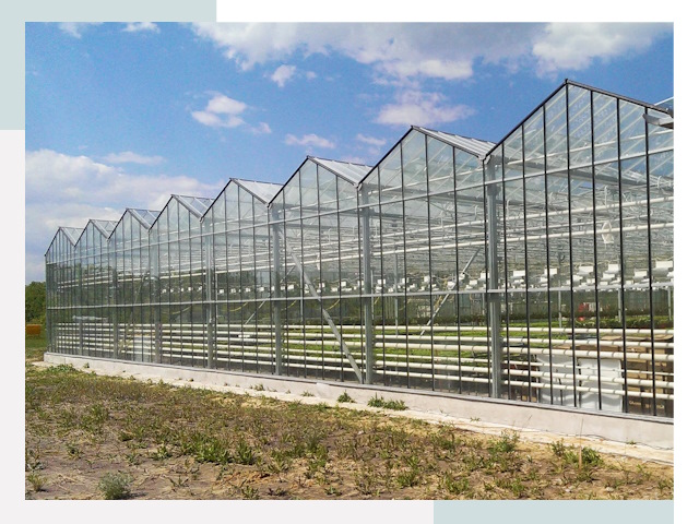 Строительство теплиц в Геленджик от 624 руб. за м²